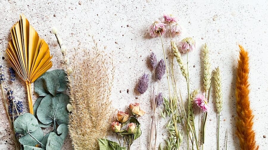 green and brown plant on white sand